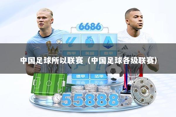 中国足球所以联赛（中国足球各级联赛）