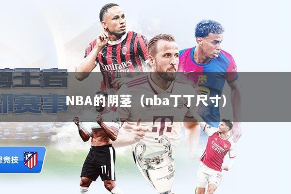 NBA的阴茎（nba丁丁尺寸）